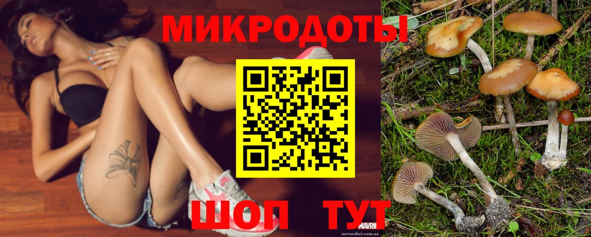 Черногорск  Псилоцибиновые грибы Psilocybe  Вход с VPN 